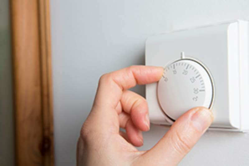 dandelion and hoglet heating controls