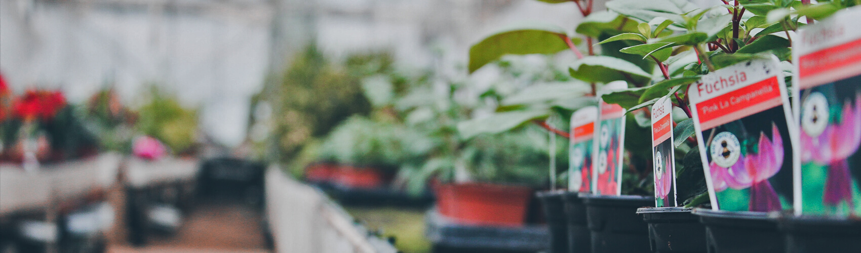 Garden Centres around Dalston Cumbria