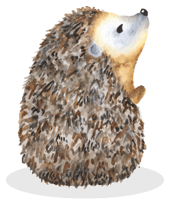 hoglet